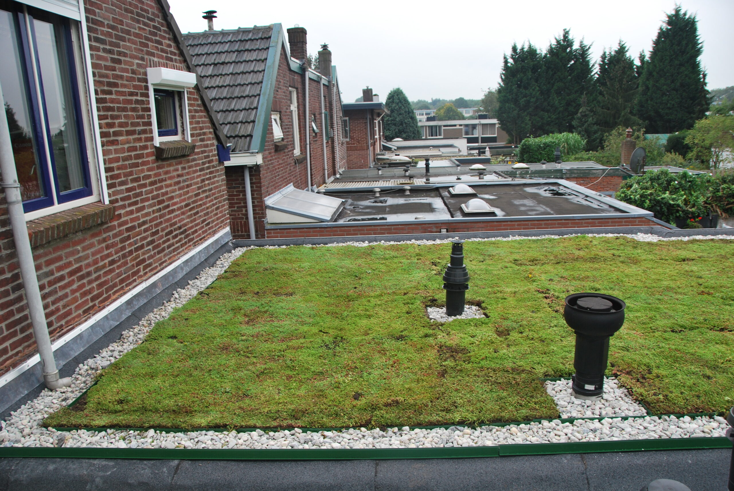 lichtgewicht sedum dak cassettes