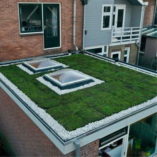 sedum cassettes sedumdak