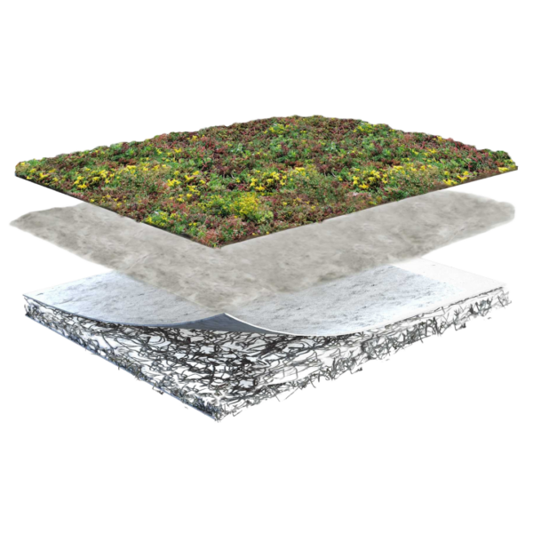 Sedum dakbedekking lichtgewicht