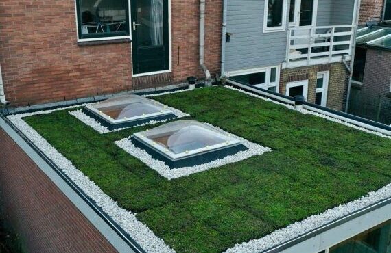 sedumdak leverancier