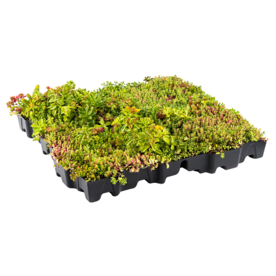 MobiRoof ECO sedum cassettes