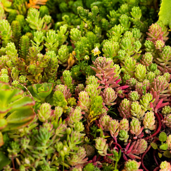 Mobilane MobiRoof ECO cassette